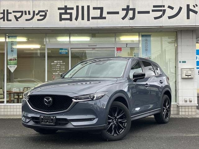 ֶ᤯ΤŹ̤פʤɤΤ˾ˤ⤪Ǥޤ 1