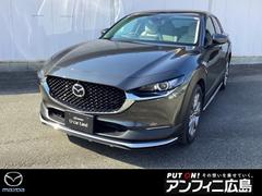 CX-30 2.0 20S Lパッケージ メモリーナビ・フルセグ・全カメラ 中古車画像