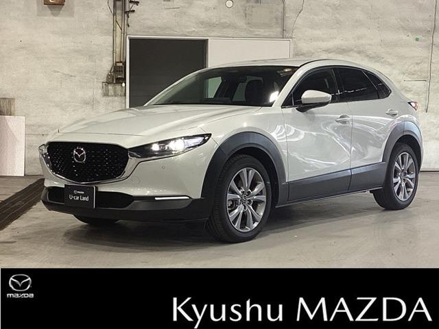 bw|RO(}c_) QDO@QOr@c[O@ЃfAbvԃA_veBuN[YR@Փˌyu[L@A~zC[@NAX\i[@tZOsu@p[V[g@I[g}`bNnCr[@obNJ@V[gq[^[@dsb@L[X Îԉ摜