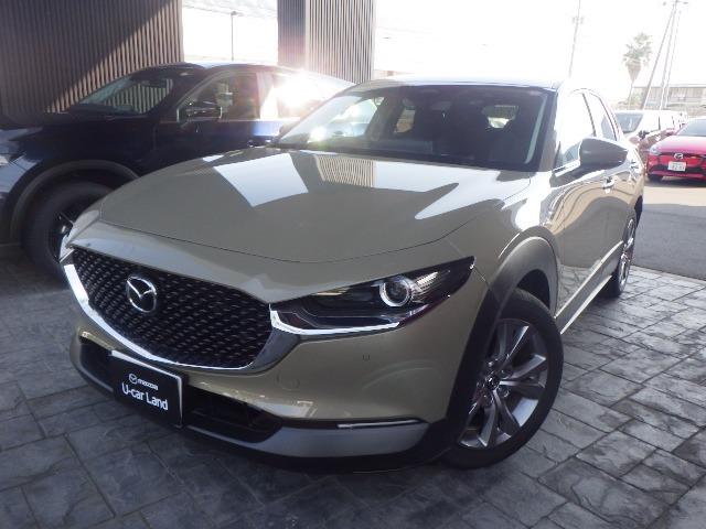 bw|RO(}c_) QDO@QOr@@ZNV@ԁ@Փ˔Qyu[L Îԉ摜