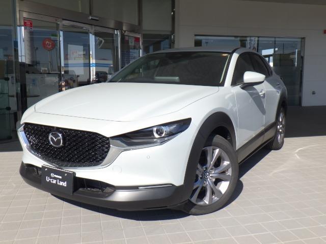 bw|RO(}c_) QDO@QOr@@ZNV@ԁ@Փ˔Qyu[L Îԉ摜