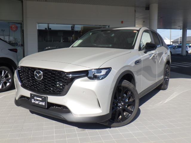 当社試乗車として活躍したクルマです。ナビ、フロアマット装備済みです。