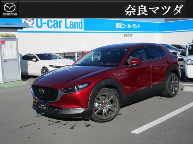 純正アルミ　ＳＤナビ　フルセグＴＶ　３６０度カメラ　ＬＥＤライト　ＥＴＣ