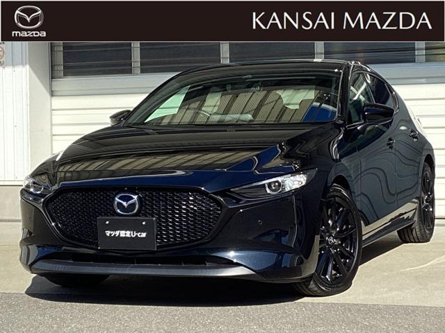 £ǯͣڣģӥ֥åȡ󥨥ǥ󡡥ޥĥǧ 1