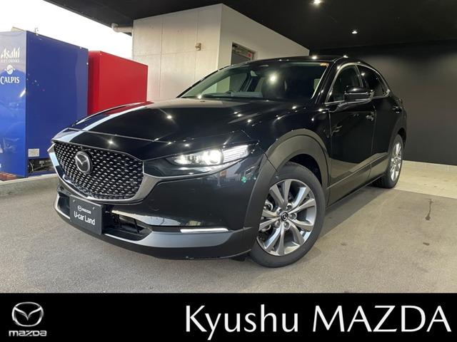 彣ޥĥǤΤϥƥʥŹǽʤͤȤĺƤޤ 1