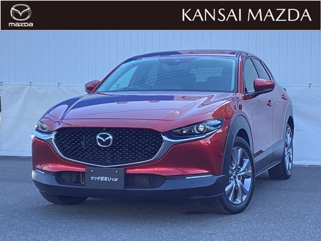 £ǯãءݣӥץƥ֥ġ󥰡ޥĥǧż 1