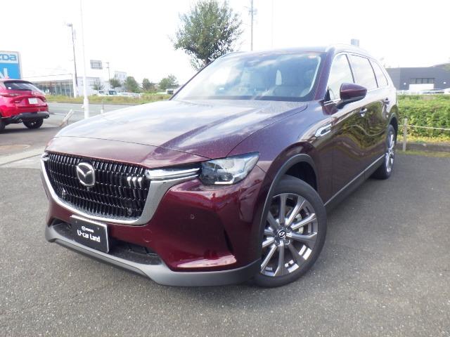 ãءݣ أġ̥ѥåǥ륿 1101284A20251206Z001 1