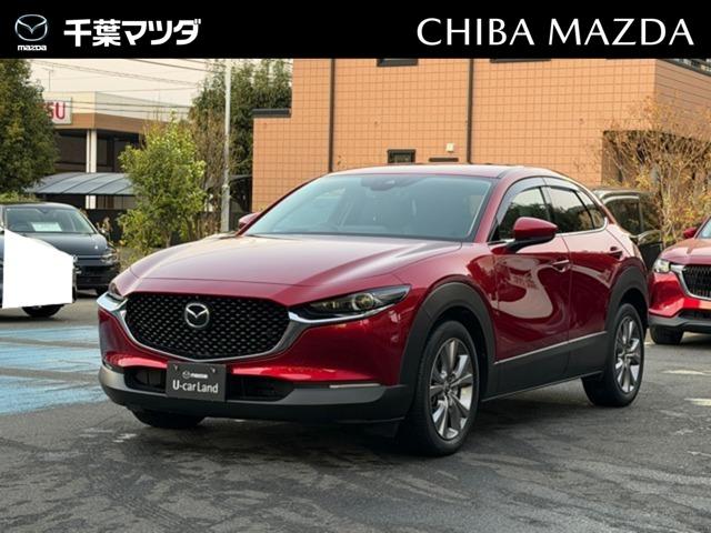 bw|RO(}c_) PDW@wc@kpbP[W@fB[[^[{@PI[i[@AhoXL[@U[@p[AQ[g@crb@L^@irsu@h~u@kdcwbh@dV[g@։@L[X@^[{@dsbt@[ir@`ar@obNJ@`v Îԉ摜