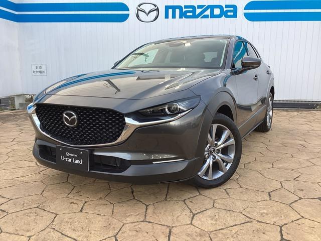 bw|RO(}c_) QDO@QOr@c[O Îԉ摜