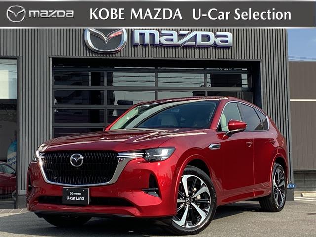 ޥĥ ãءݣ أĥϥ֥åɡ롼֡