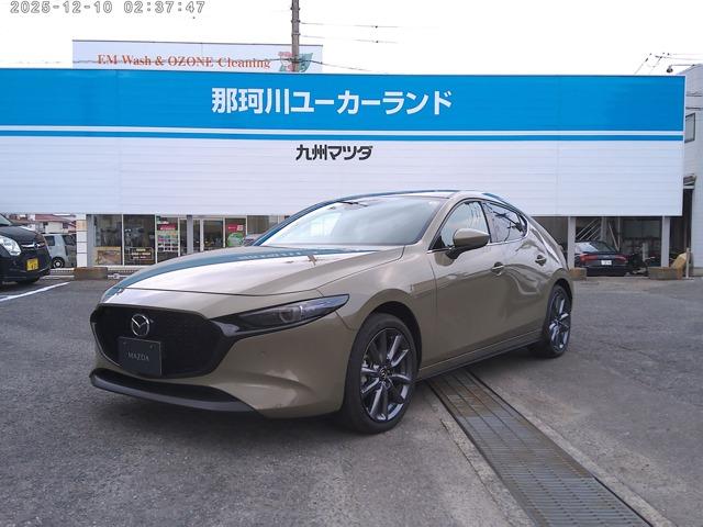 彣ޥĥǤΤϥƥʥŹǽʤͤȤĺƤޤ 1