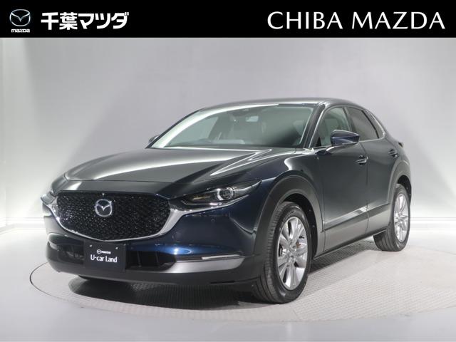 �b�w�|�R�O(�}�c�_) �P�D�W�@�w�c�@�v���A�N�e�B�u�@�c�[�����O�Z���N�V�����@�f�B�[�@�R�U�O°�r���[���j�^�@�d�s�b�@�^�[�{�ԁ@�S�J�����@�p���X�e�@�X�}�[�g�L�[���v�b�V���X�^�[�g�@�n�f�W�s�u�@�d�s�b�ԍڊ�@�p���[�V�[�g�@�o�b�N�J�����@�V�[�g�q�[�^�[�@������h�~�@�\�@�`�a�r�@�������[�i�r ���Îԉ摜