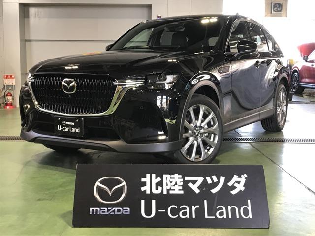 ドライバーパーソナライゼーションシステムＰＫＧ