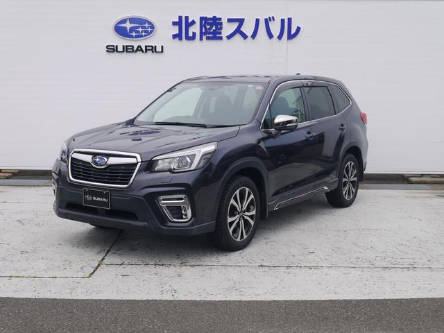 Ｐｒｅｍｉｕｍ　ＥｙｅＳｉｇｈｔ搭載車　ＳＴＩタワーバー(1枚目)