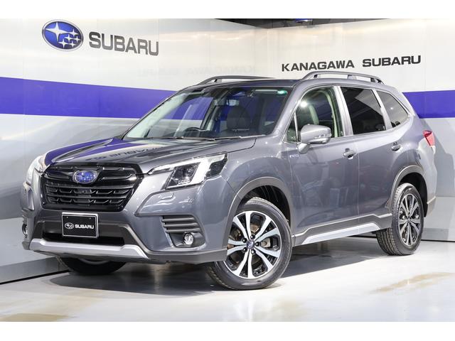 Ʒե쥹ˡʥӡţԣá䥫դ 1