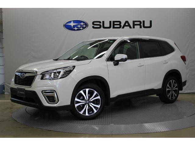 tHX^[(Xo) o@drڎ Îԉ摜