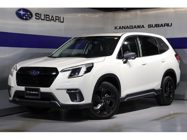 ӣ˸奢ܡʥ奫顢 ֥졼ȸٲɥ쥳ţԣư䥲ȡ 1