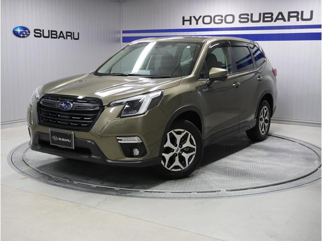 Х ե쥹 ԣ硡žٱ硡ɥ饤С˥󥰥ƥ