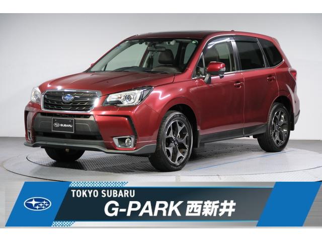 Х ե쥹 ӡݣ̣䡡£̣򡡥롼ա緿롼