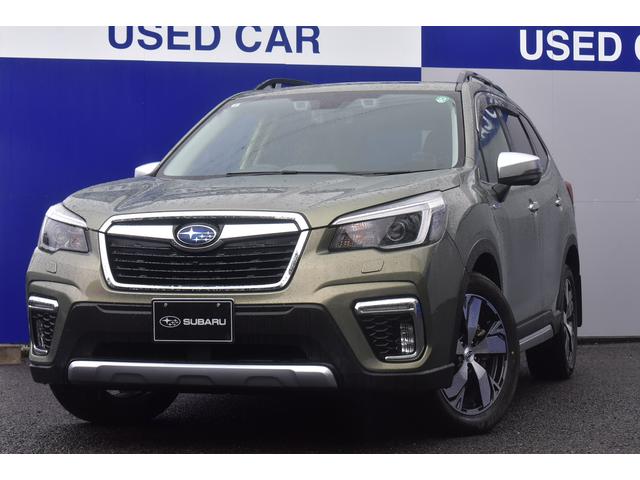 ʥӡեȡɡꥢ ܳץȡ롼աѥҥ᡼ϣн¤Ǥ 1