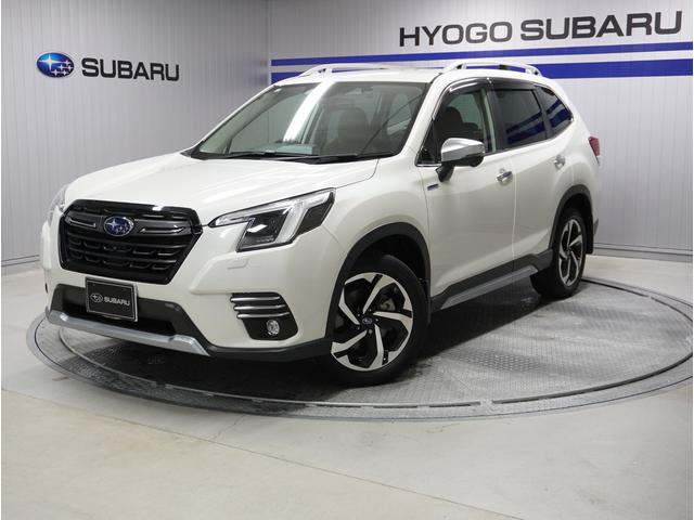 Х ե쥹 塡ܳץȡУץ䥲ȡ볦ĥ