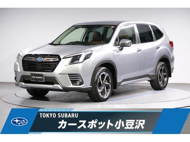 Х ե쥹 ɥХ󥹡եȥɥӥ塼顡쥶͡ѥʥ˥å£ݣʥ