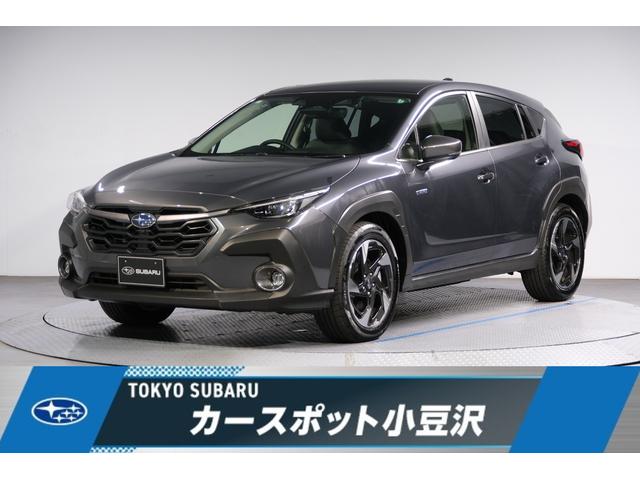 Х ȥå ߥƥåɡǥޥӥ塼˥󥿡ե᡼ǥץ쥤ţԣã