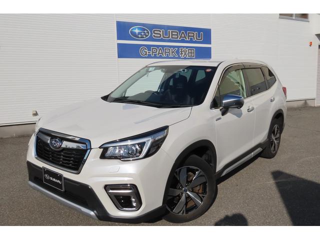 ե쥹 塡ţӣȡӥȥʥӡȡʥ 0100555A20251018B002 1