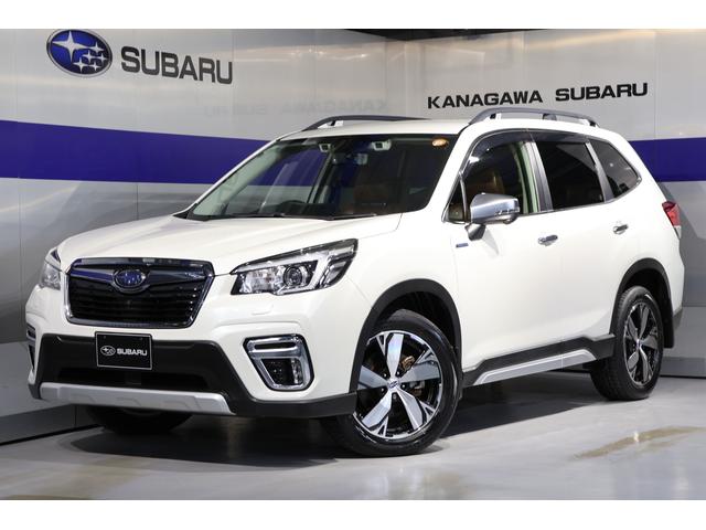 ͵Ρ֥ե쥹ɥХ󥹡٤ޤ 롼ե졼롢ܳץȡѥ䥲ȡޡȥӥ塼ߥ顼 1