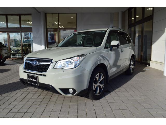 tHX^[(Xo) w|aqd`j@drڎ Îԉ摜