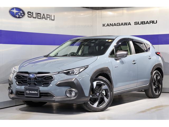 Х ȥå ߥƥåɡ롼ա쥶