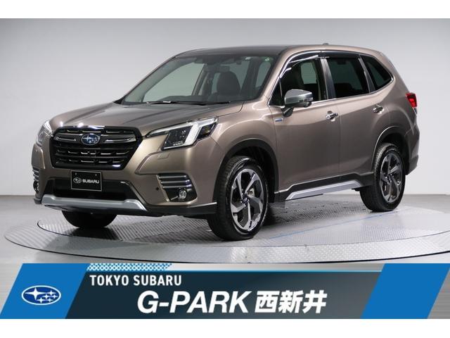 Х ե쥹 ɥХ󥹡奢ȡɥ쥳ƥ