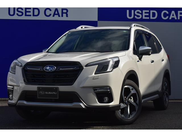 ʥӡϿɥ쥳ܼ 奢ȡ롼ե졼롡ѥꥢܼ֡ 1