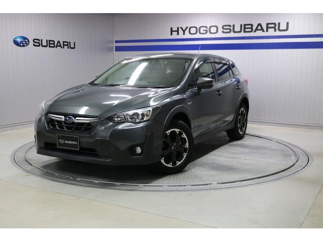 أ ݣ̡ţӣѥ˥ʥӥ 0503704A20251026B021 1