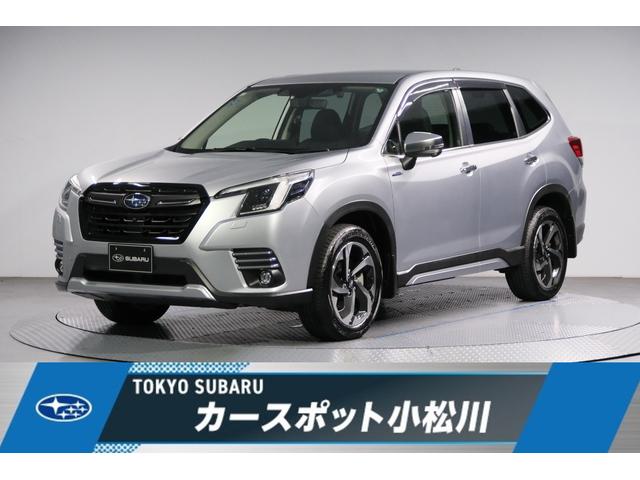 Х ե쥹 ɥХ󥹡ȡʥӡɥ쥳ţԣ