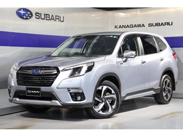 Х ե쥹 ɥХ󥹡奢ܡեȡɥ˥ʥ