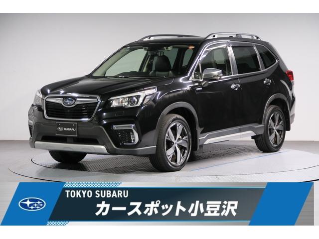 tHX^[(Xo) `@drڎԁ@_Cg[TEhir@dsbQDO@hCuR[_[@obNJ@tgr[J@TChr[J@I[gr[Nz[h@w[h Îԉ摜