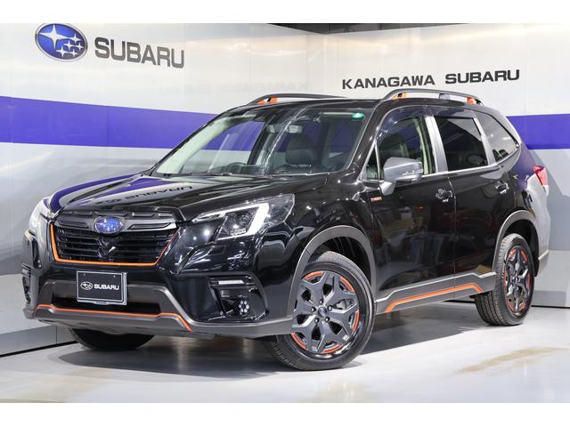 Х ե쥹 ءݥ֥쥤ʥӡҥ顡ţԣ