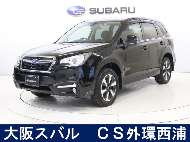 Х ե쥹 ݣ̡ȡɥ饤֥쥳ȣ֣򡥣