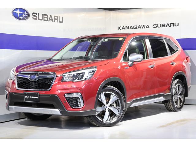 Х ե쥹 塡ʥӡҥ顡ţԣ