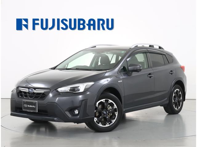 Х أ ݣ̡ţӣ롼ե졼롡ʥ