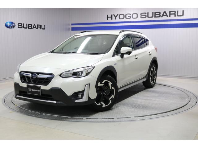 أ ɥХ󥹡ȡ֥롼쥤бʥӡɥ쥳 0503704A20251118B011 1