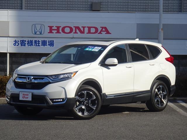 EX・マスターピース 4WD サンルーフ 本革シート ナビ(1枚目)
