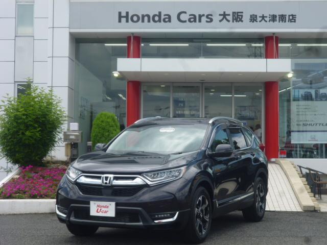 専用純正メモリーナビ付デモカー(1枚目)