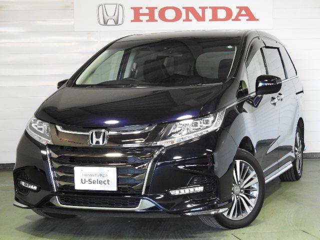 アブソルート・ホンダセンシング サポカーS ナビ リアカメラ 4WD(1枚目)