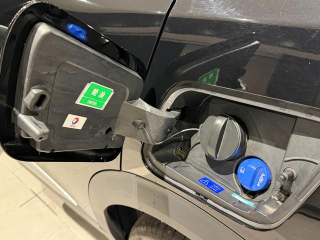 ２００８ ＧＴ　ブルーＨＤｉ　新車保証継承／純正ディスプレイミラー／ＥＴＣ／パノラミックサンルーフ／シートヒーター／アップルカープレイ／アンドロイドオート／ＬＥＤヘッドライト／オートマチックハイビーム／ＢＳＭ／ＡＣＣ／ＡＡＣ（29枚目）