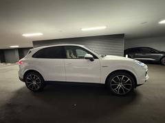 �������� �šݥϥ��֥�åɡ��ץ���ʥ��ǥ�����󡡥ۥ磻�ȡ��١����塡�ƥ��ץȥ��˥å��� 9200046A20251108G002 2