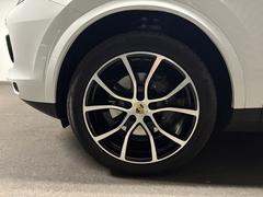 �������� �šݥϥ��֥�åɡ��ץ���ʥ��ǥ�����󡡥ۥ磻�ȡ��١����塡�ƥ��ץȥ��˥å��� 9200046A20251108G002 6