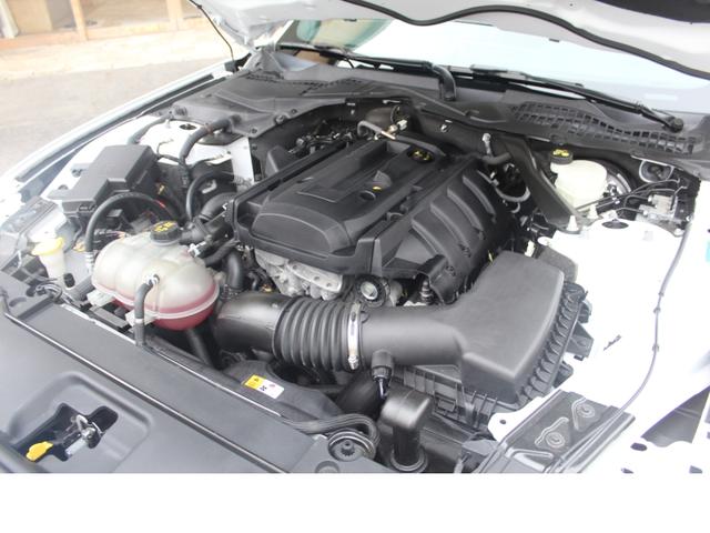 マスタング 50イヤーズ エディション(13枚目)