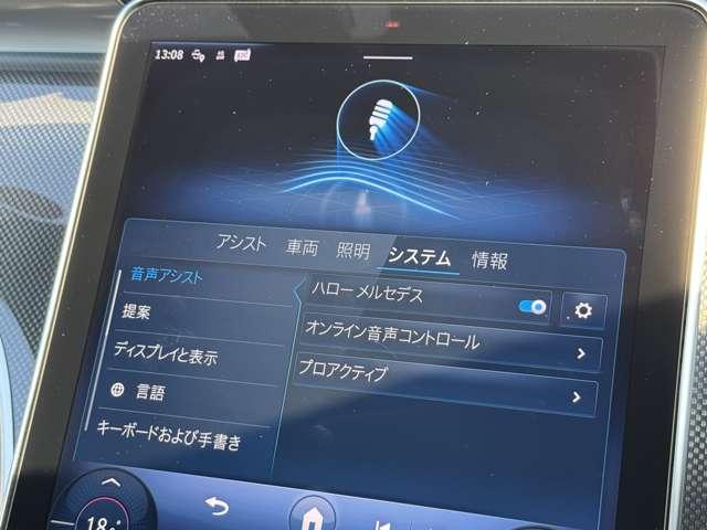 Cクラスステーションワゴン C220dステーションワゴンアバンギルドAMGライP ベーシックPKG MP202402(29枚目)